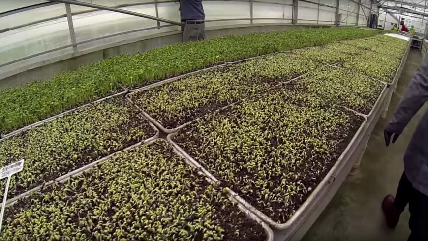 Thinking Outside The Box With The Talented Shane Philip