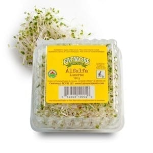 Alfalfa Sprouts