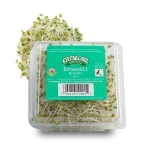 Broccoli Sprouts