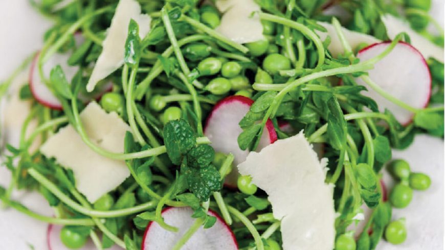 Spring Pea Salad with Shoots & Mint