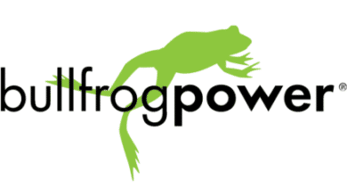 Why Bullfrog Power?