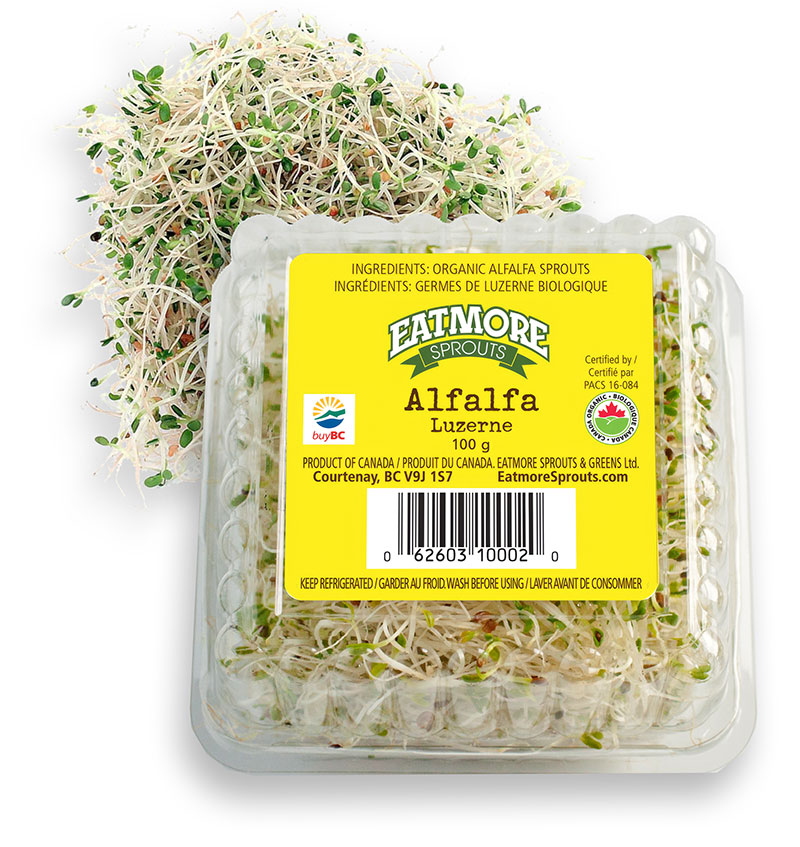 Alfalfa Sprouts