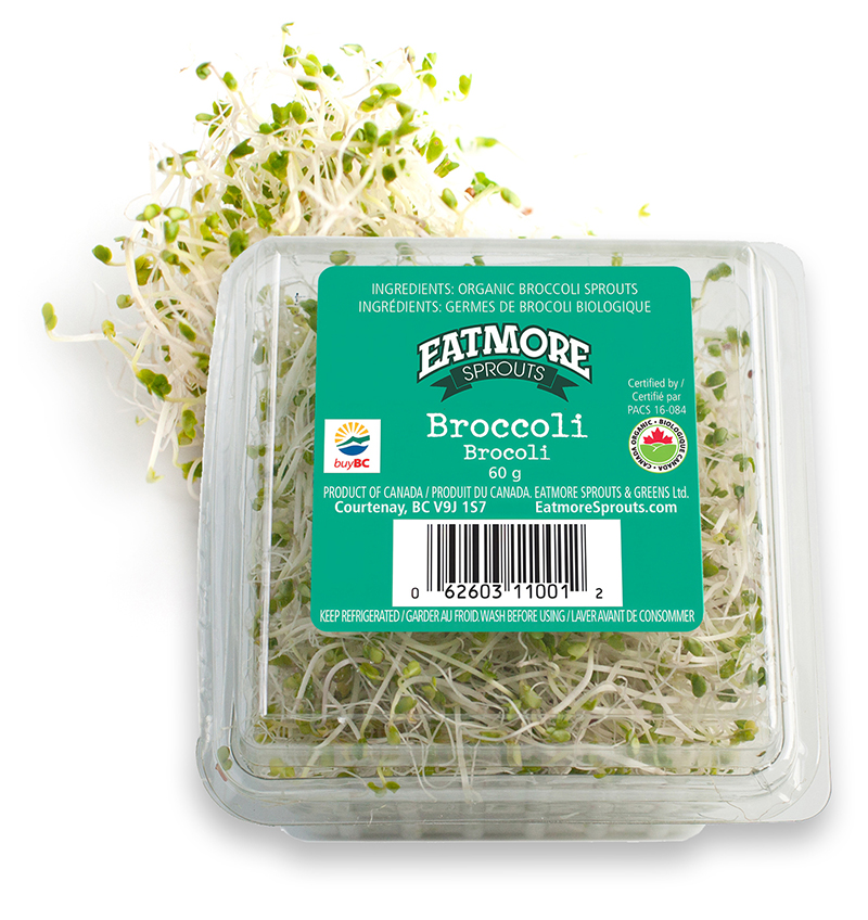 Broccoli Sprouts