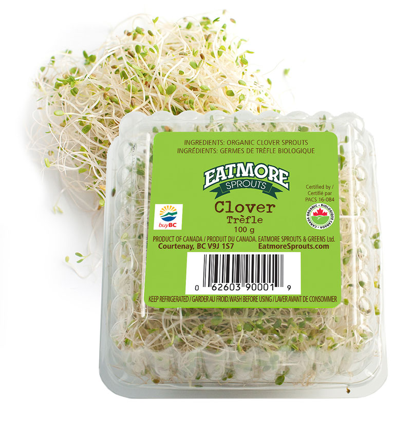 Clover Sprouts