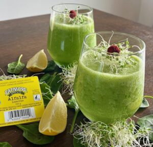 Green smoothie with spinach, banana, alfalfa sprouts, ginger, and lemon, garnished with fresh Eatmore Alfalfa Sprouts.