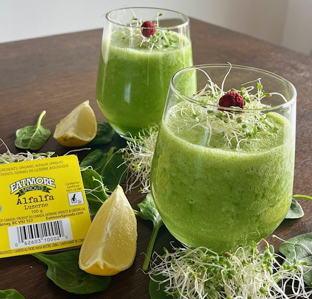 Green smoothie with spinach, banana, alfalfa sprouts, ginger, and lemon, garnished with fresh Eatmore Alfalfa Sprouts.