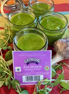 Homemade pea shoot and basil pesto in glass jars with fresh Eatmore Pea Shoots, basil, and garlic.