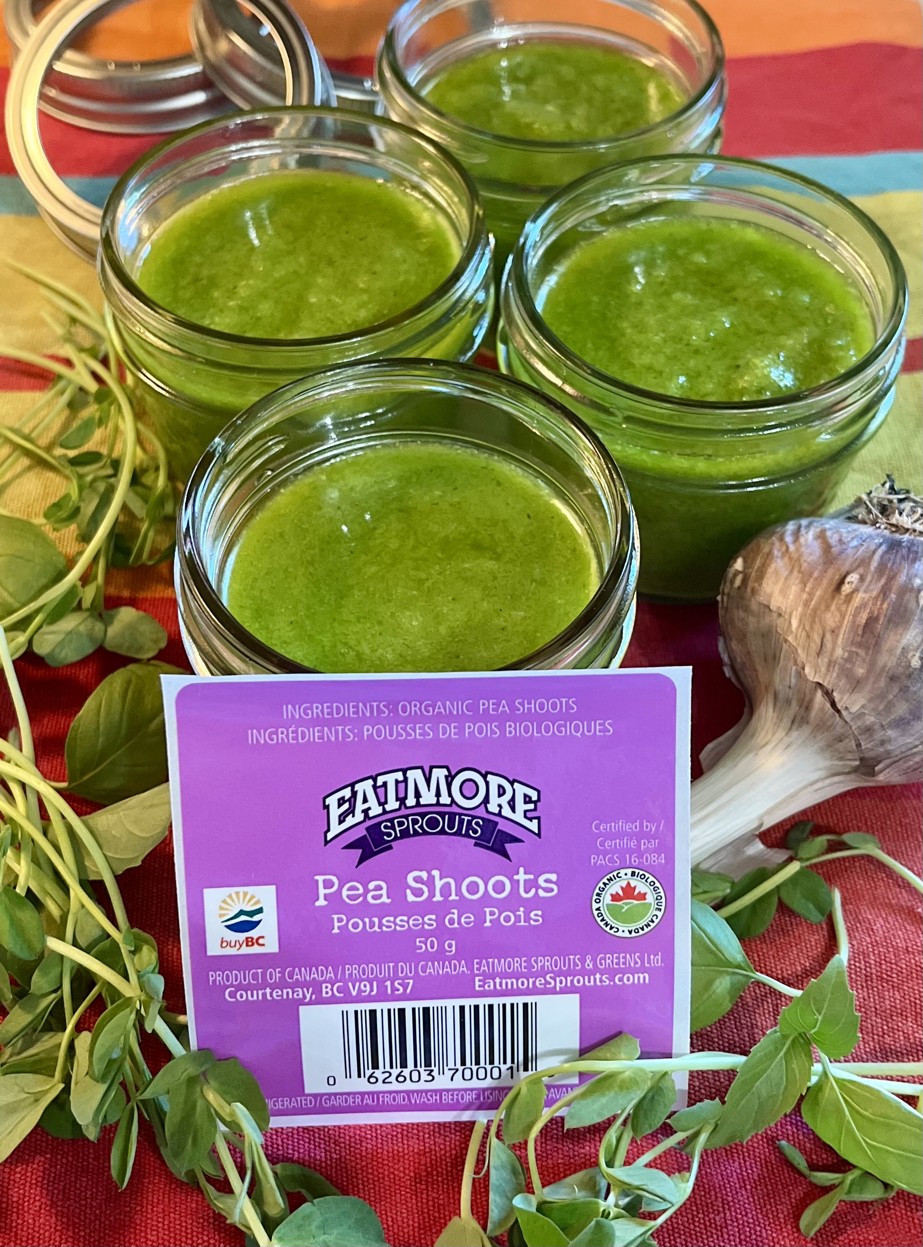 Homemade pea shoot and basil pesto in glass jars with fresh Eatmore Pea Shoots, basil, and garlic.